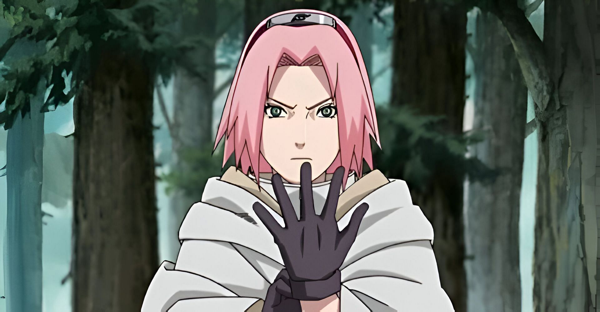 One of the Naruto characters, Sakura Haruno (Image via Studio Pierrot)